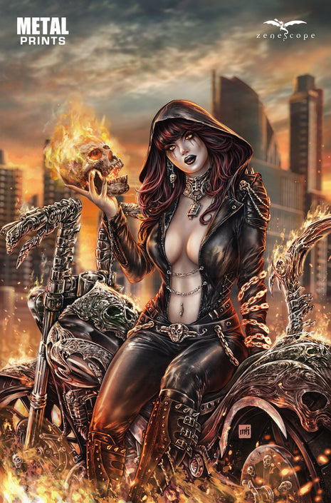 Mike Krome - 2026 SDCC Collectible - Metal Mini Art Print