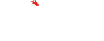 Zenescope Entertainment Inc